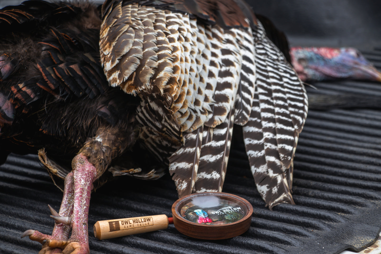 Turkey Ridge Crystal