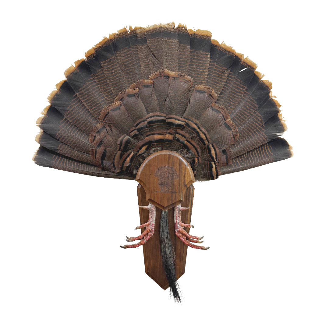 Turkey Fan Mounting Solution